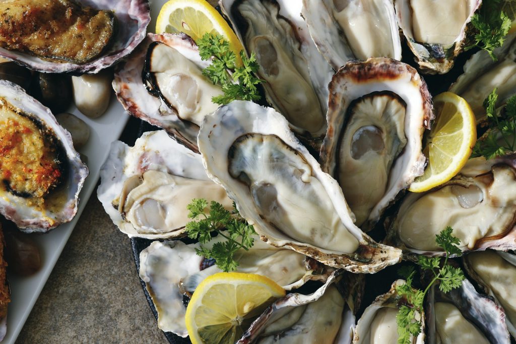 e-oysterの利用イメージ画像